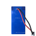 Evl Ncm Li-Polymer 48V 12.5ah Battery Pack for Light
